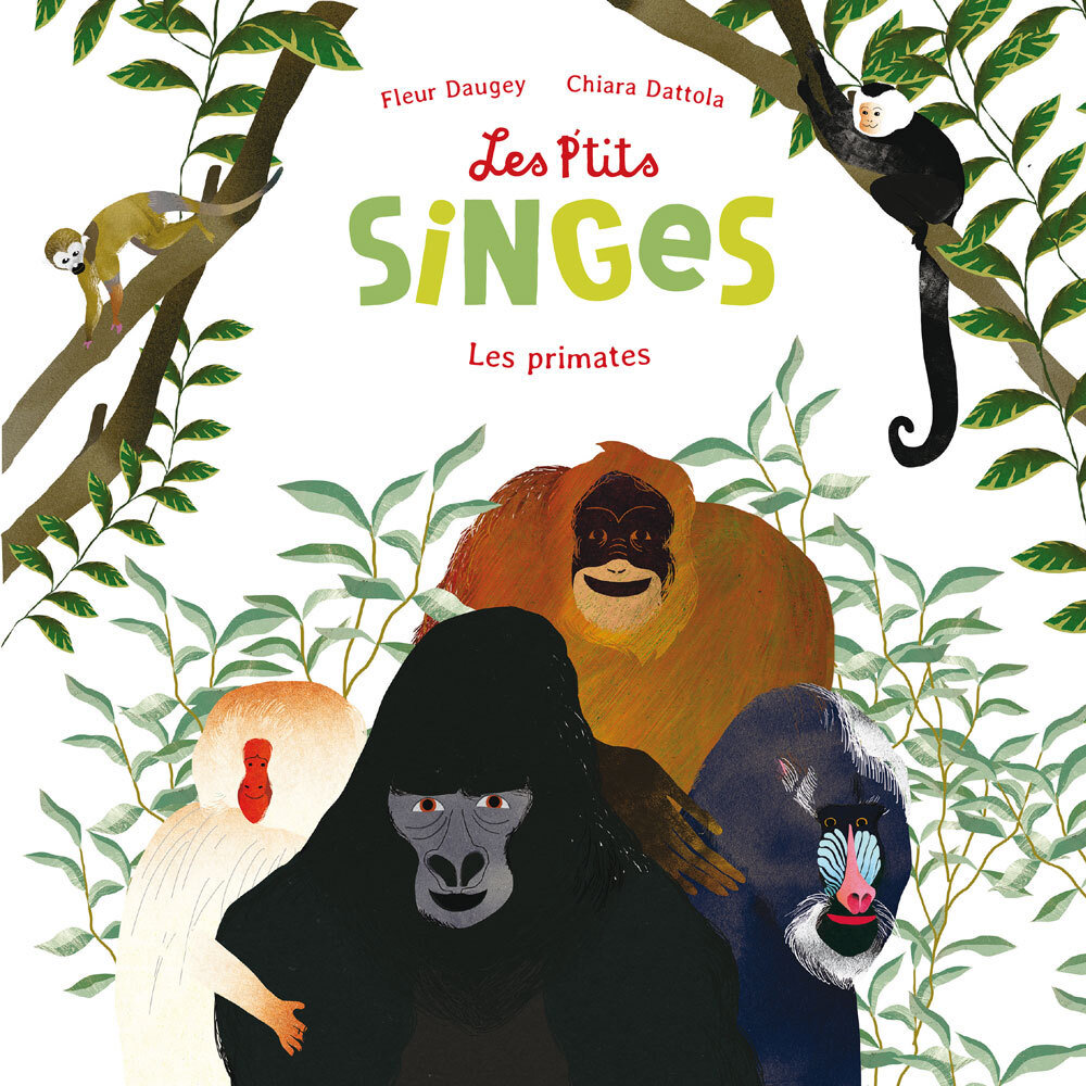 Les p'tits singes : les primates