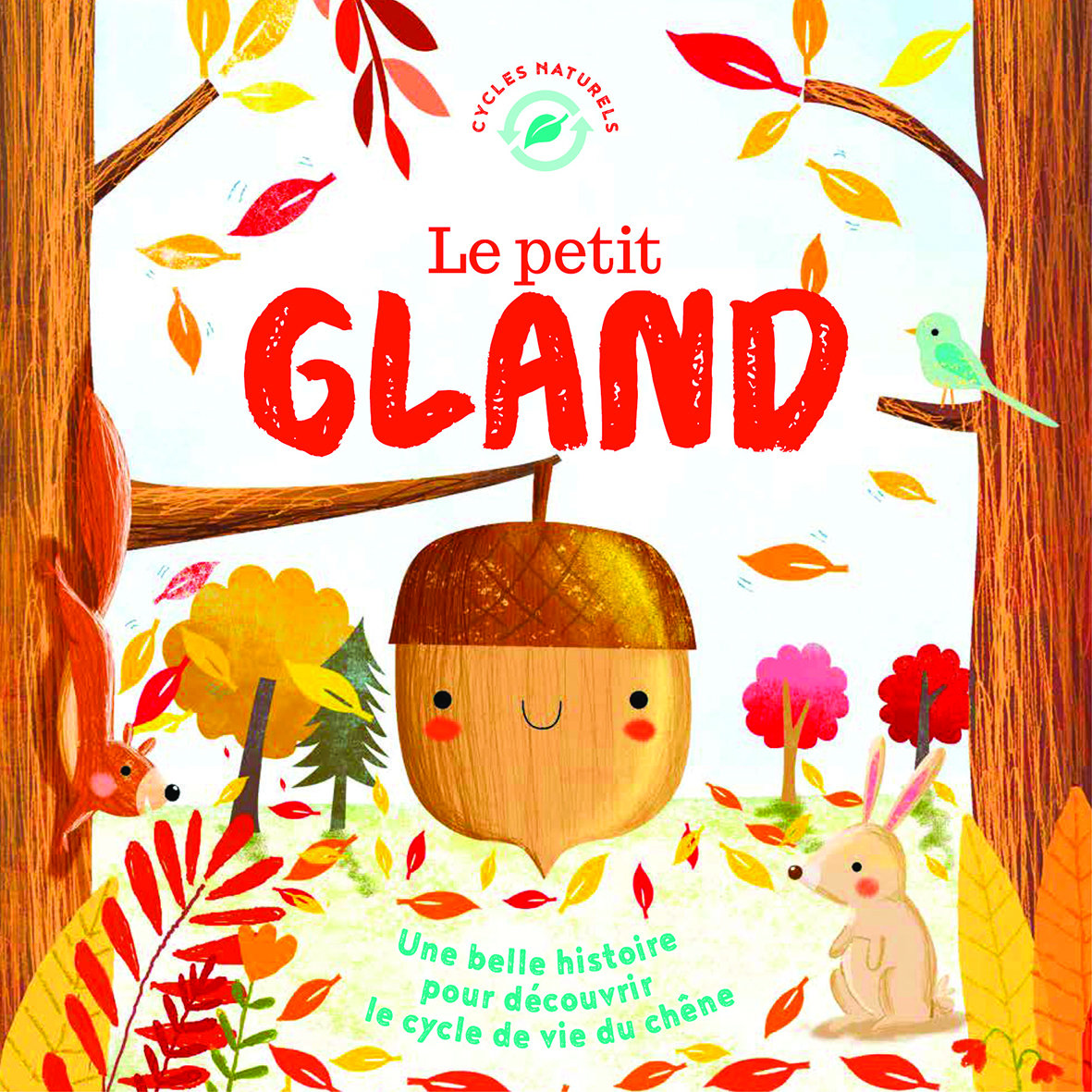 Le petit gland : une belle histoire pour découvrir le cycle de la vie