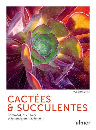 Cactees et succulentes - comment les cultiver et les entretenir facilement