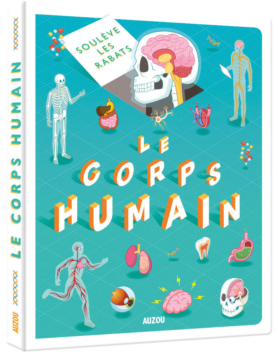 Le corps humain