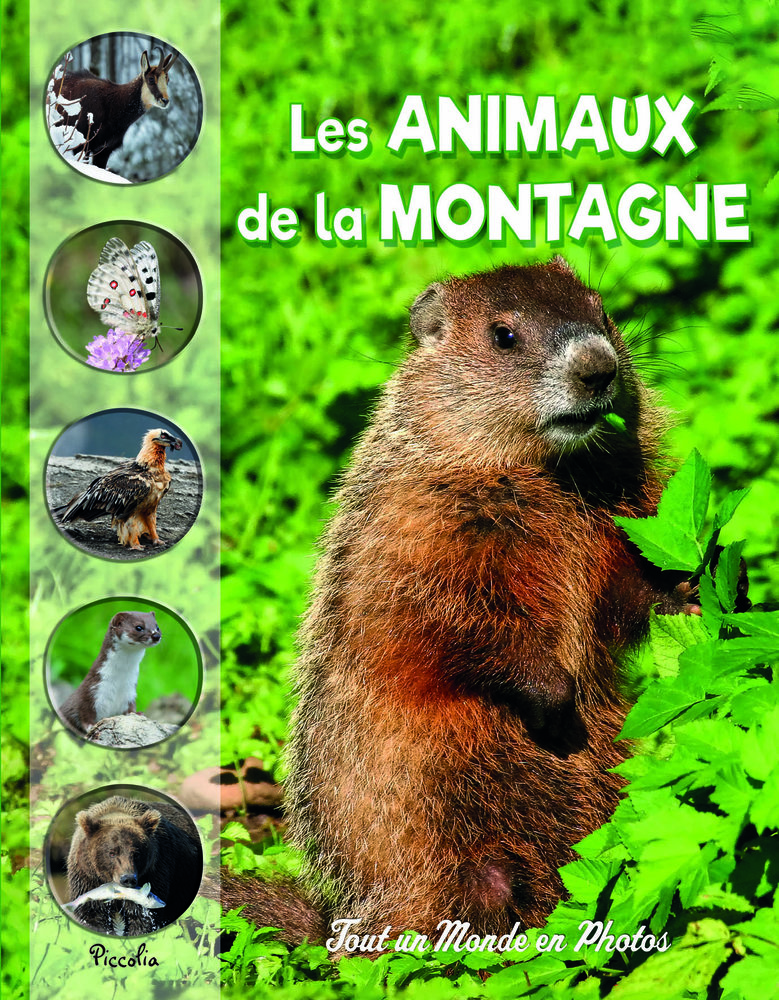 Les animaux de la montagne