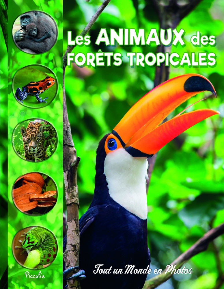 Les animaux des forets tropicales