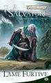 La legende de drizzt, t11 : lame furtive