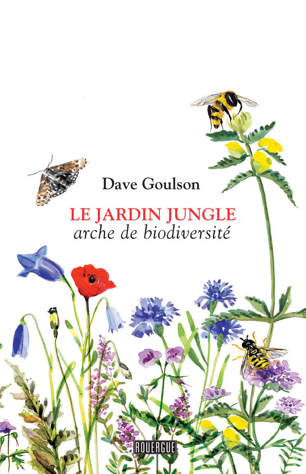 Le jardin jungle : arche de biodiversité