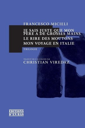 Je sais juste que mon pere a de grosses mains - journal d'un enfant