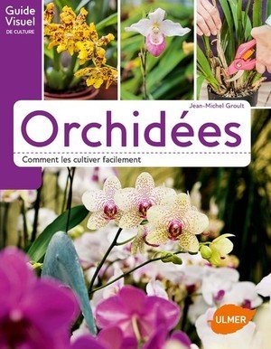 Orchidees - comment les cultiver facilement