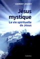 Jesus mystique - la vie spirituelle de jesus