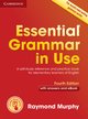 Essential Grammar in Use - Essential Grammar in Use