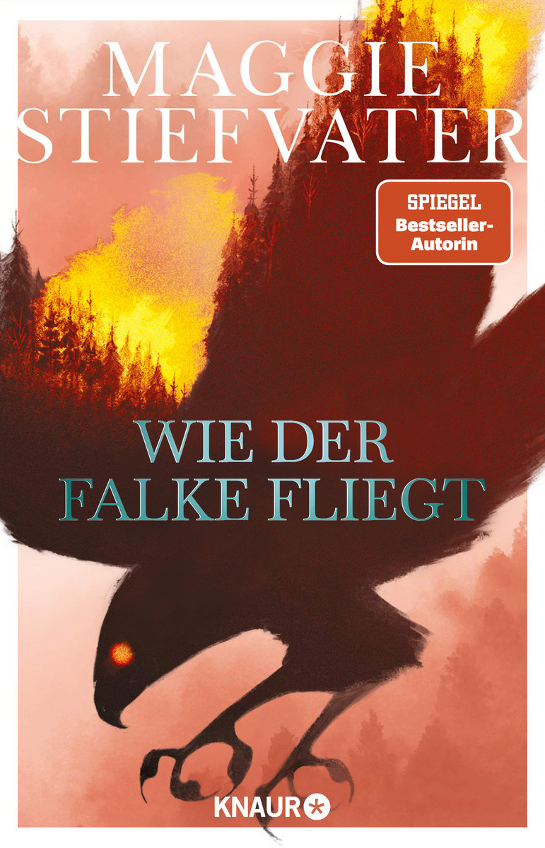 Wie der Falke fliegt