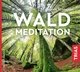 Waldmeditation