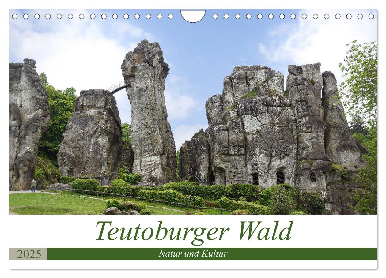 Teutoburger Wald - Natur und Kultur (Wandkalender 2025 DIN A4 quer), CALVENDO Monatskalender