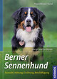 Berner Sennenhund