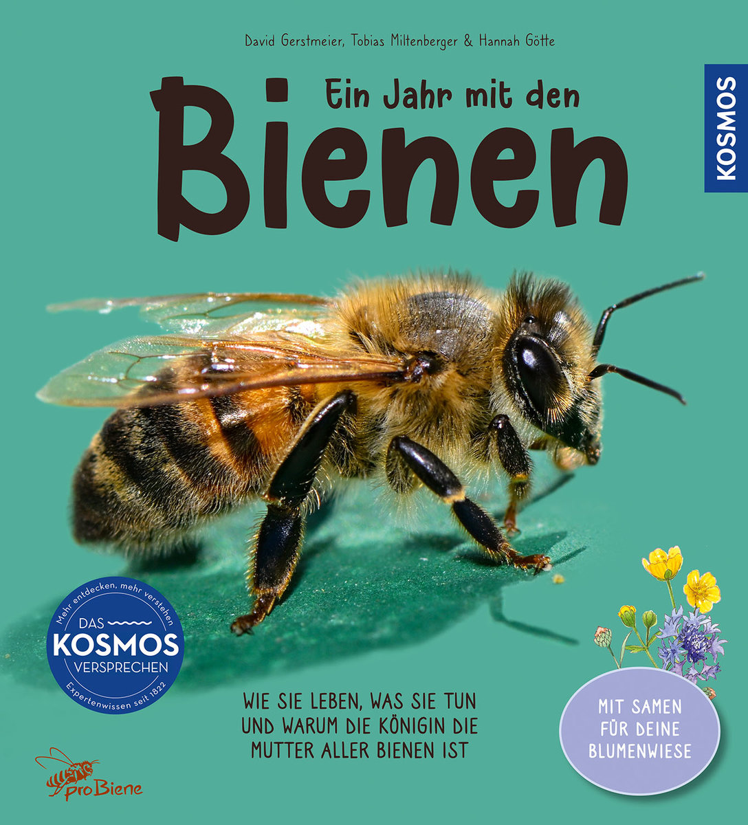 Ein Jahr mit den Bienen