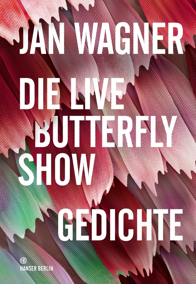 Die Live Butterfly Show