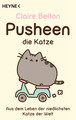 Pusheen, die Katze