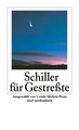 Schiller für Gestreßte