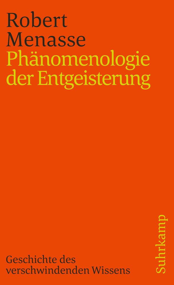 Phänomenologie der Entgeisterung