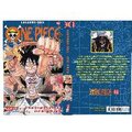 One Piece 45