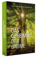 Das Geheimnis der Bäume