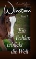 Winston - Ein Fohlen erblickt die Welt