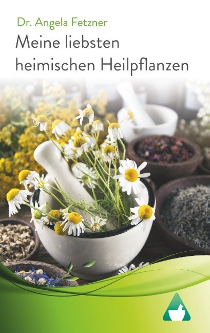 Meine liebsten heimischen Heilpflanzen