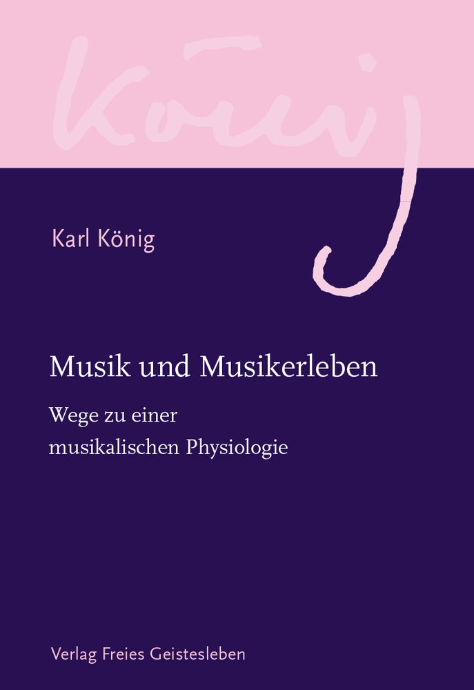 Musik und Musikerlebnis