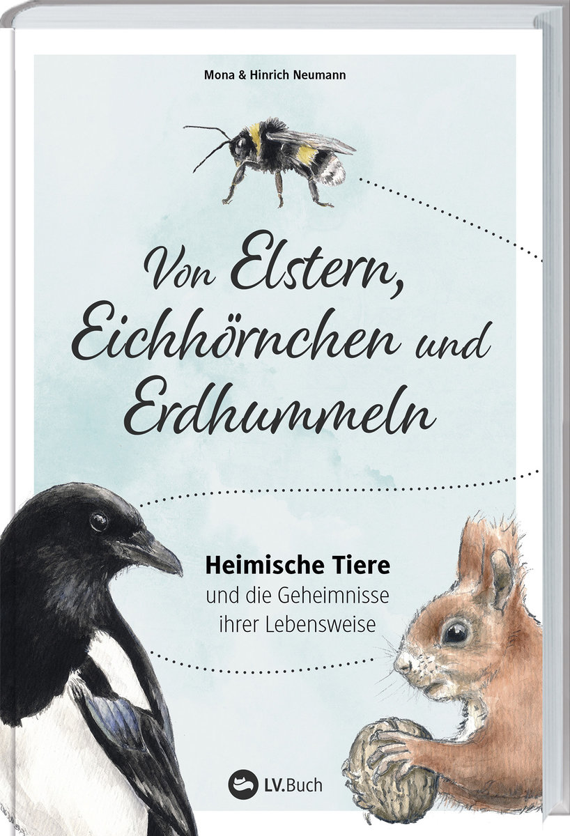 Von Elstern, Eichhörnchen und Erdhummeln