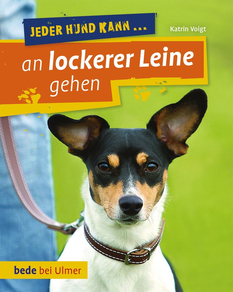 Jeder Hund kann an lockerer Leine gehen