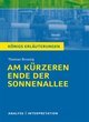 Am kürzeren Ende der Sonnenallee von Thomas Brussig