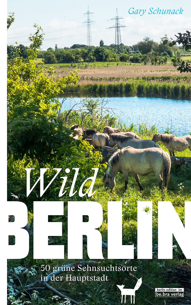 WILDBERLIN