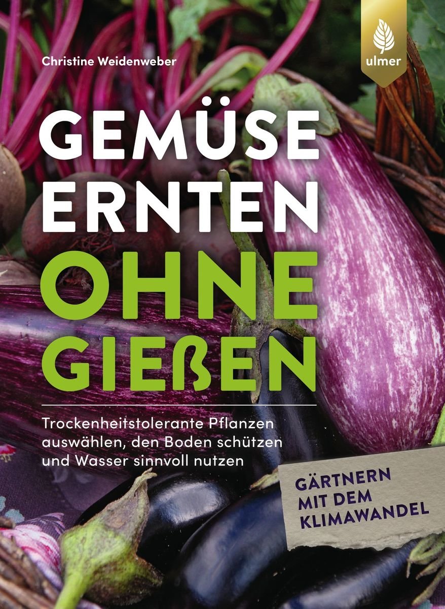 Gemüse ernten ohne gießen