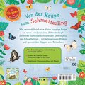 Wie wird die Raupe zum Schmetterling?