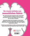 #dkinfografik. Das menschliche Gehirn und wie es funktioniert