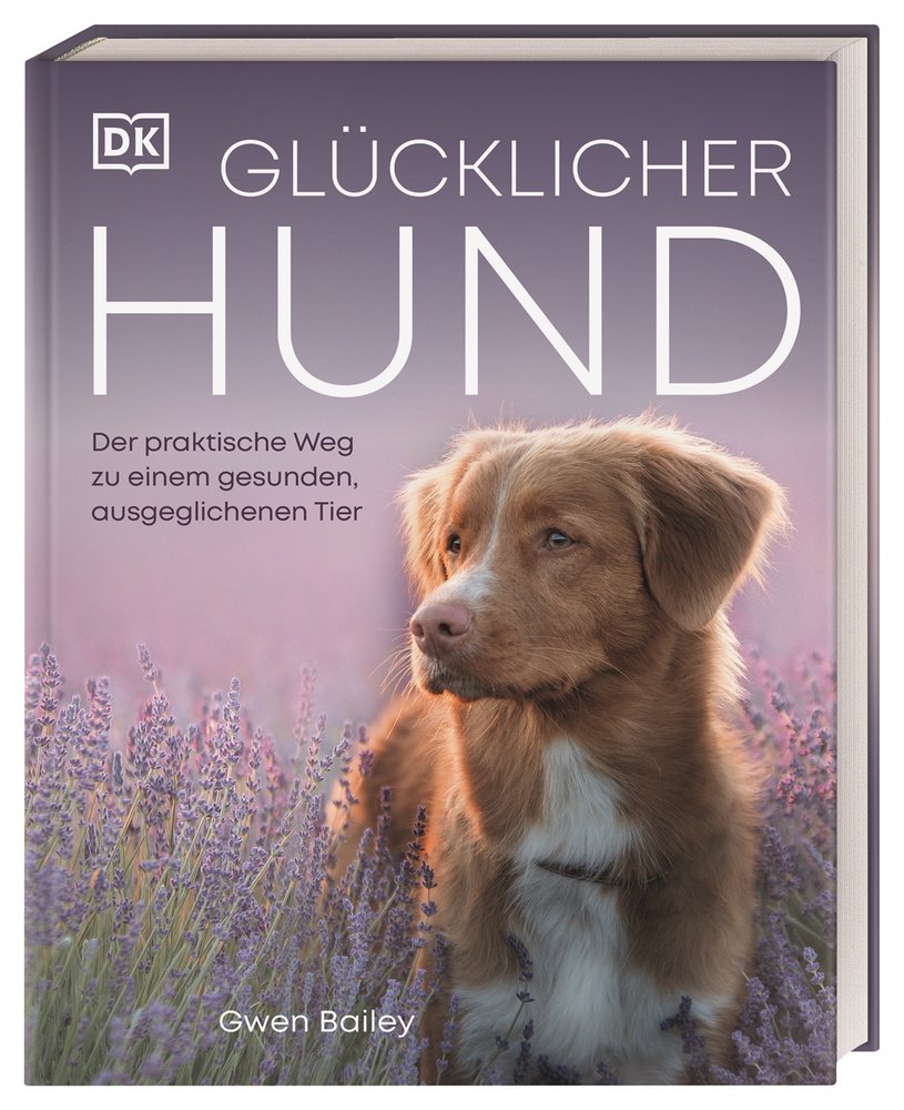 Glücklicher Hund