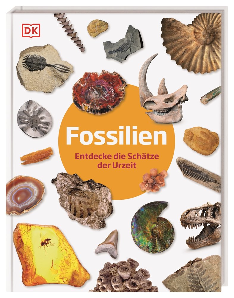 Fossilien