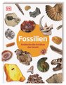 Fossilien