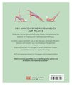 Pilates - Die Anatomie verstehen