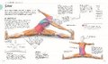 Pilates - Die Anatomie verstehen