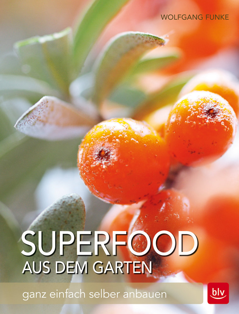 Superfood aus dem Garten