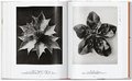 Karl Blossfeldt. The Complete Published Work. 40th Ed