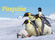 Pinguine Kalender 2025