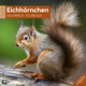 Eichhörnchen Kalender 2025 - 30x30