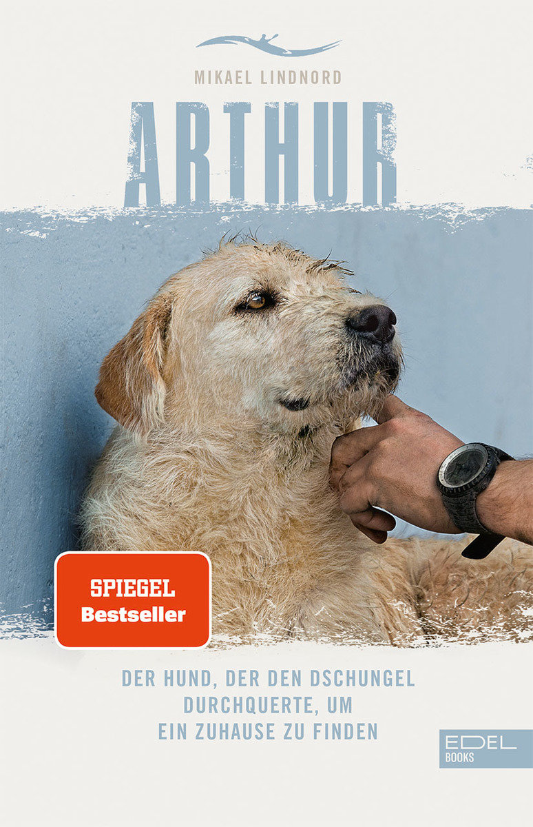 Arthur. Der Hund, der den Dschungel durchquerte, um ein Zuhause zu finden