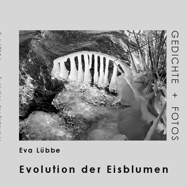 Evolution der Eisblumen