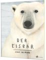 Der Eisbär