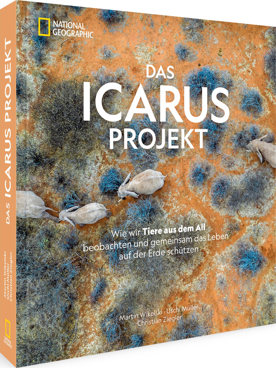 Das ICARUS Projekt