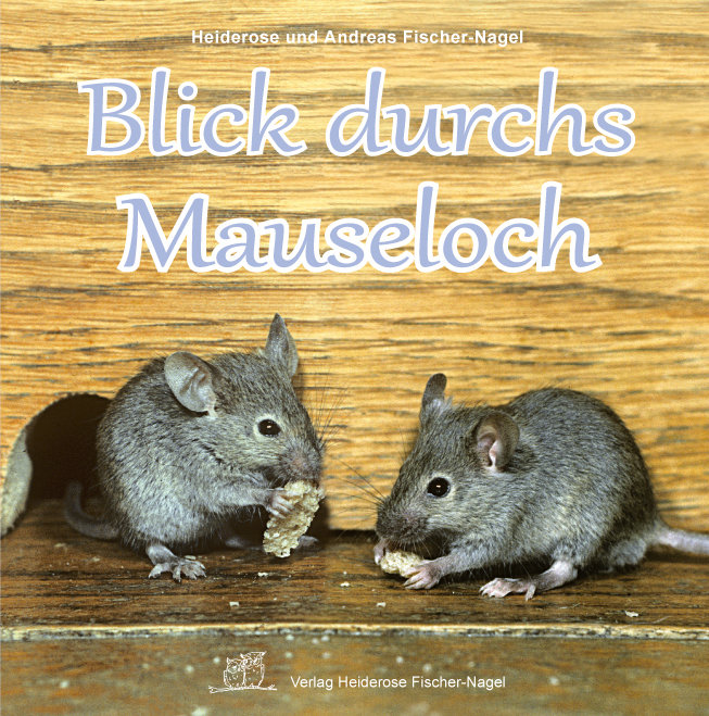 Blick durchs Mauseloch