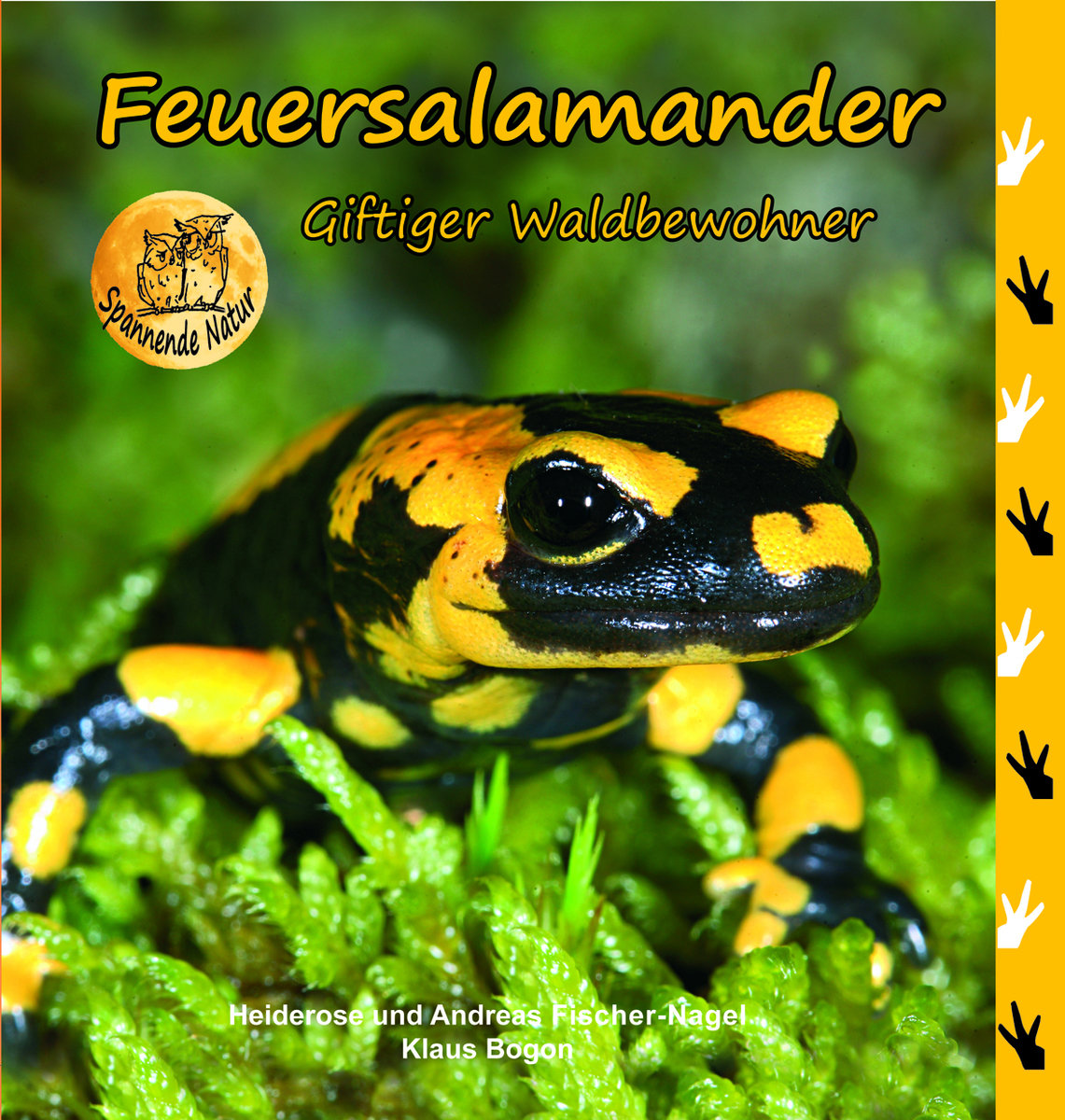 Feuersalamander