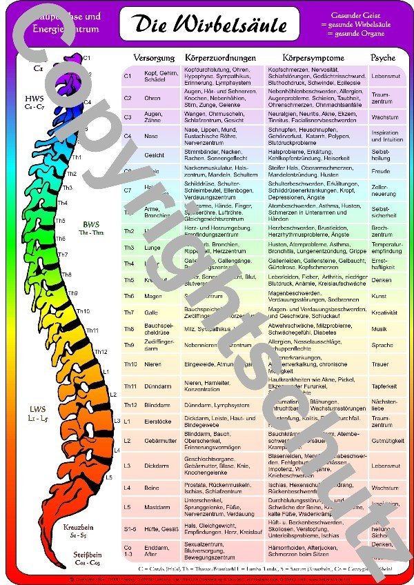 Wirbelsäulenzuordnungen - A4