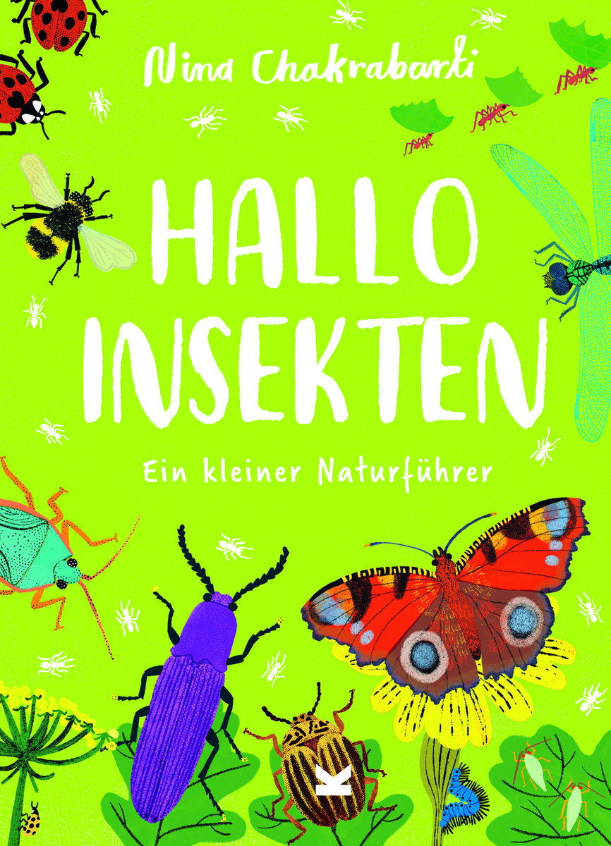 Hallo Insekten